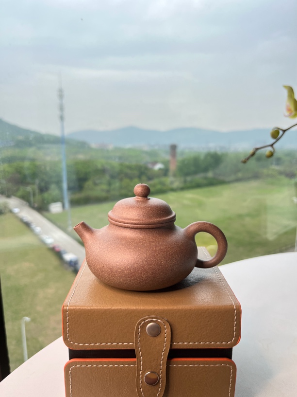 【伴山 容天】本山原矿青降坡容天紫砂壶精工半手180cc宜兴紫砂茶壶