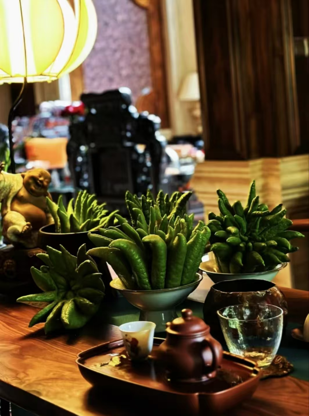 【一物一拍】A1-A60号云南精品清香观赏型清供天然香薰 花材 佛手柑