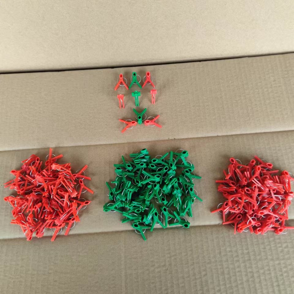 叶仙嫁接蟹爪兰用各种规格嫁接夹子