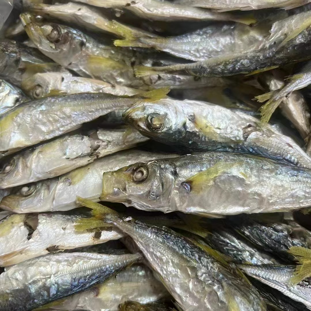 【建华推荐款】莆田南日岛即食黄尾巴浪鱼巴浪鱼片2斤包邮