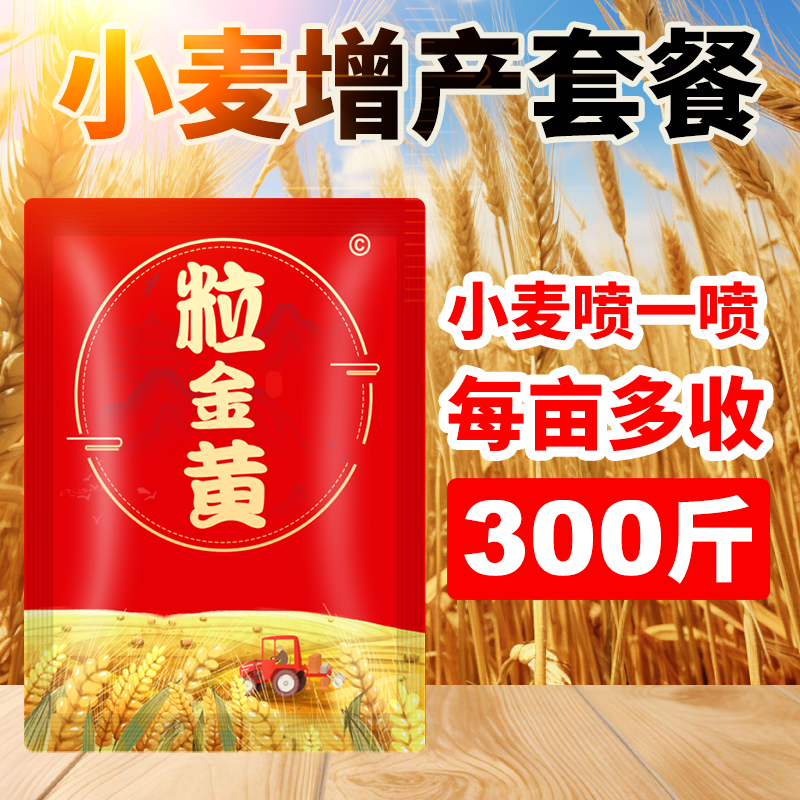 【粒金黄】小麦增产套餐一喷三防增产专用高产防虫防病叶面肥