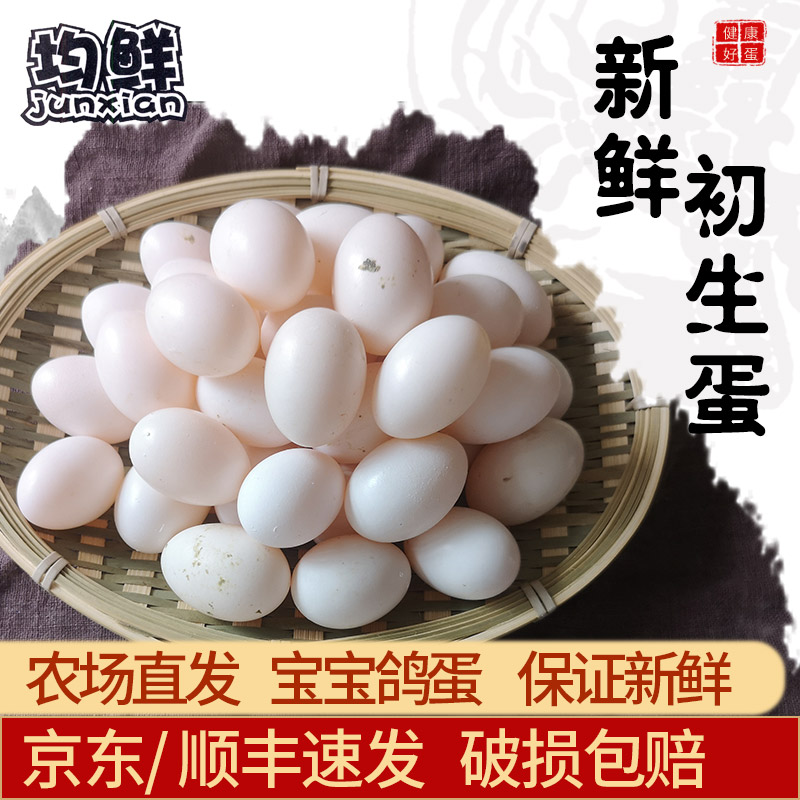 均鲜新鲜初生宝宝鸽蛋杂粮喂养农家特产白鸽蛋信鸽蛋鲜鸽蛋土鸽蛋