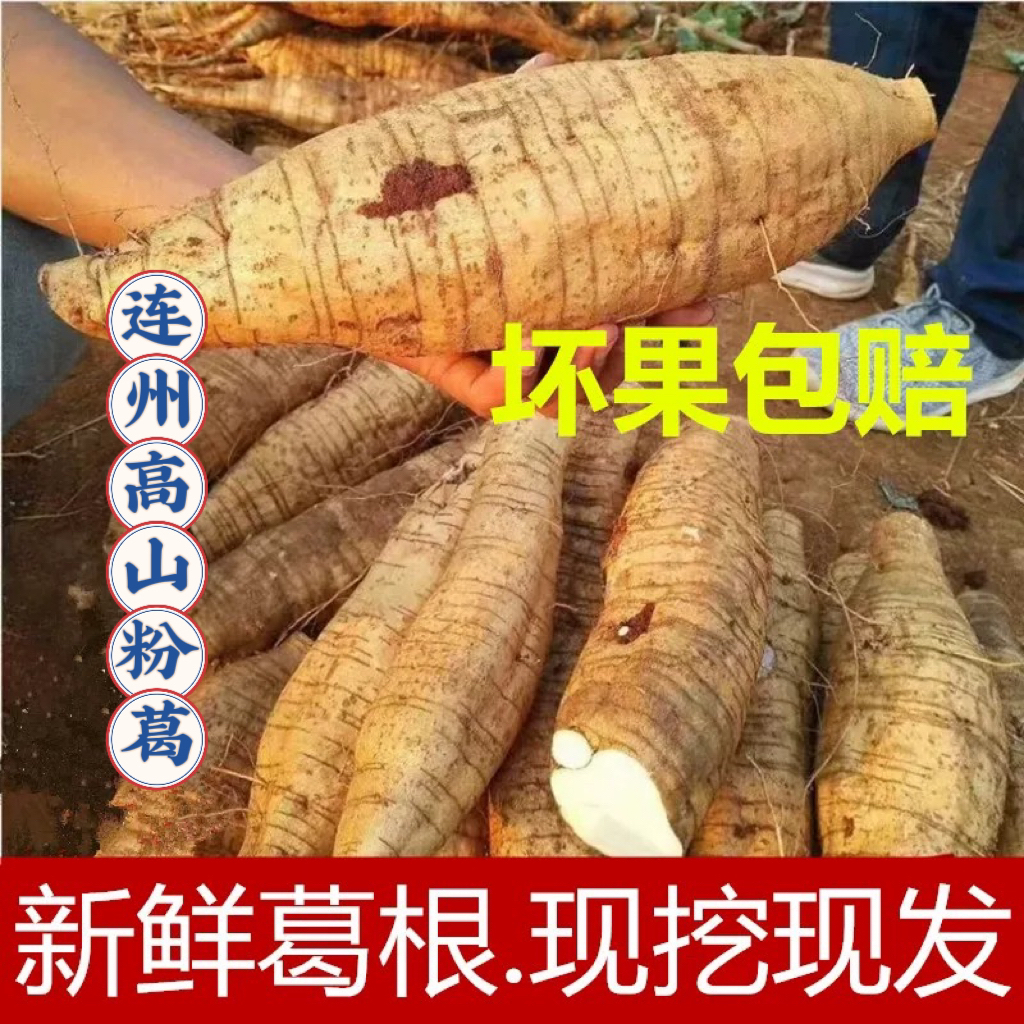 连州高山粉葛粉嫩甜无渣