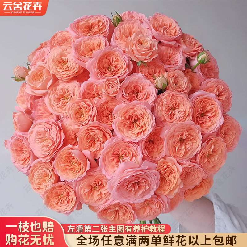 【云舍花卉】【杏色果汁】多头玫瑰全场任意满两单及以上鲜花包邮
