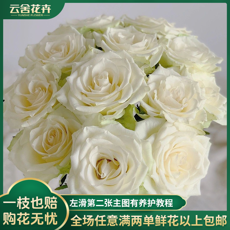 【方德中小型花苞]60A【荷冠】雅典娜单头玫瑰10支【不保水】发货鲜花