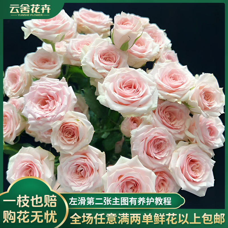 【云舍花卉】【星悦宝贝】多头玫瑰全场任意满两单及以上鲜花包邮发货