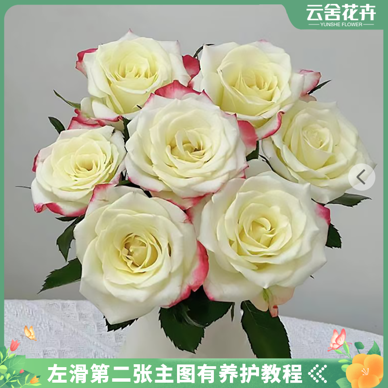 【方德中小型花苞】艾莉森单头玫瑰10支【不保水】任意2单或以上包邮