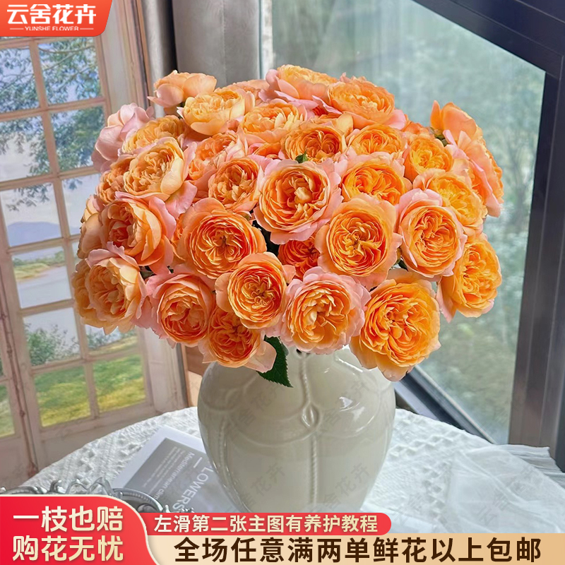【云舍花卉】【果汁阳台】多头玫瑰全场任意满两单及以上鲜花包邮发货