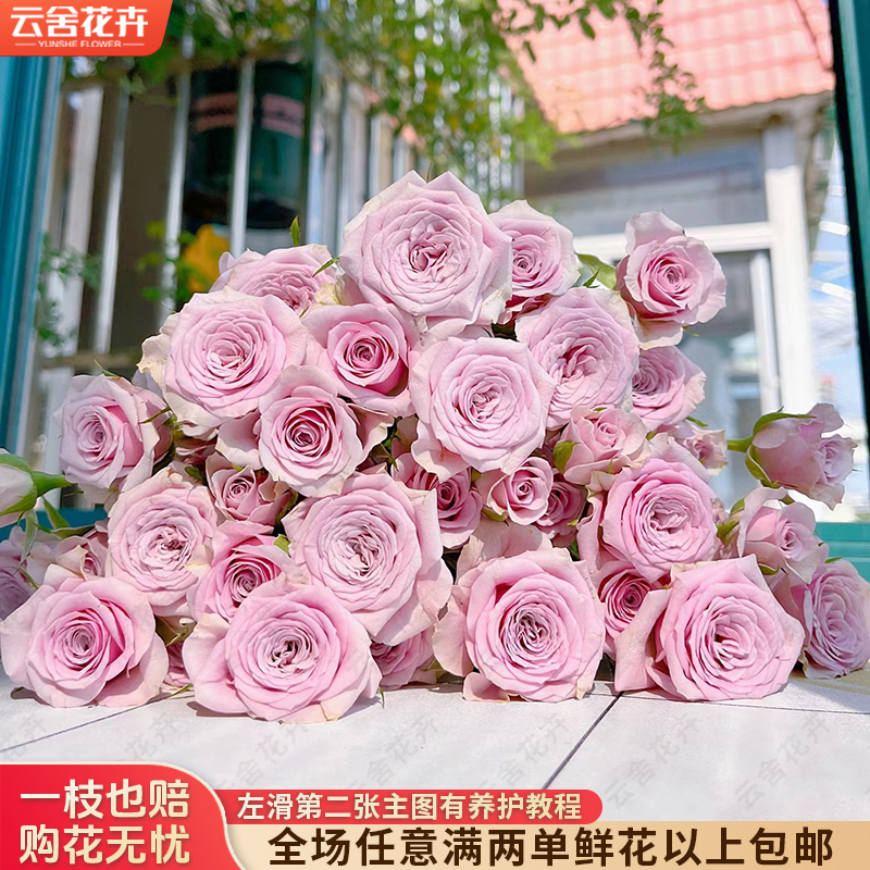 【云舍花卉】【莱拉】多头玫瑰全场任意满两单及以上鲜花包邮