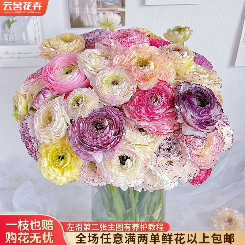 【云舍花卉】【花边】洋牡丹 全场任意满两单及以上鲜花包邮发货