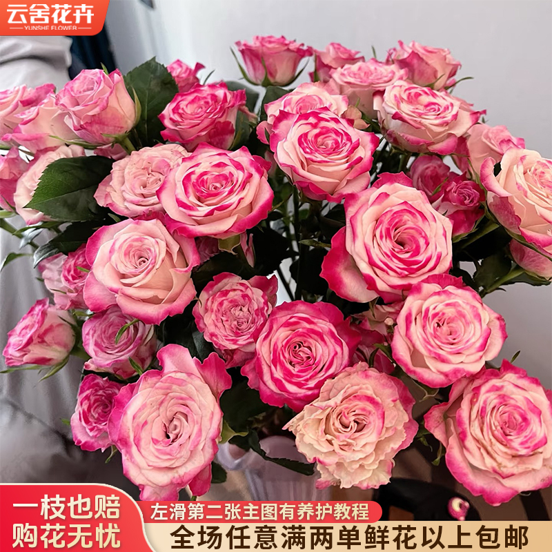 【云舍花卉】【花花公子】多头玫瑰 全场任意满两单及以上鲜花包邮