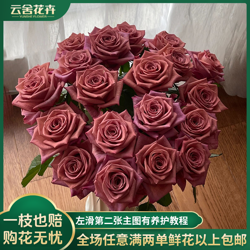 【云舍花卉】稀有【调香师】单头玫瑰全场任意满两单及以上鲜花包邮