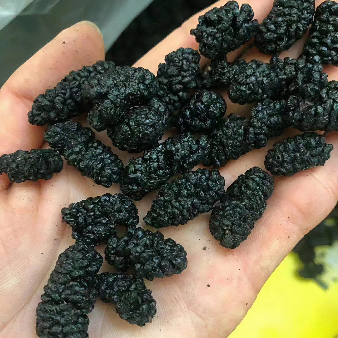 【新疆吐鲁番直发】新疆吐鲁番黑桑葚干颗粒饱满