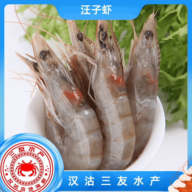 【三友汪子虾】断养虾 10斤