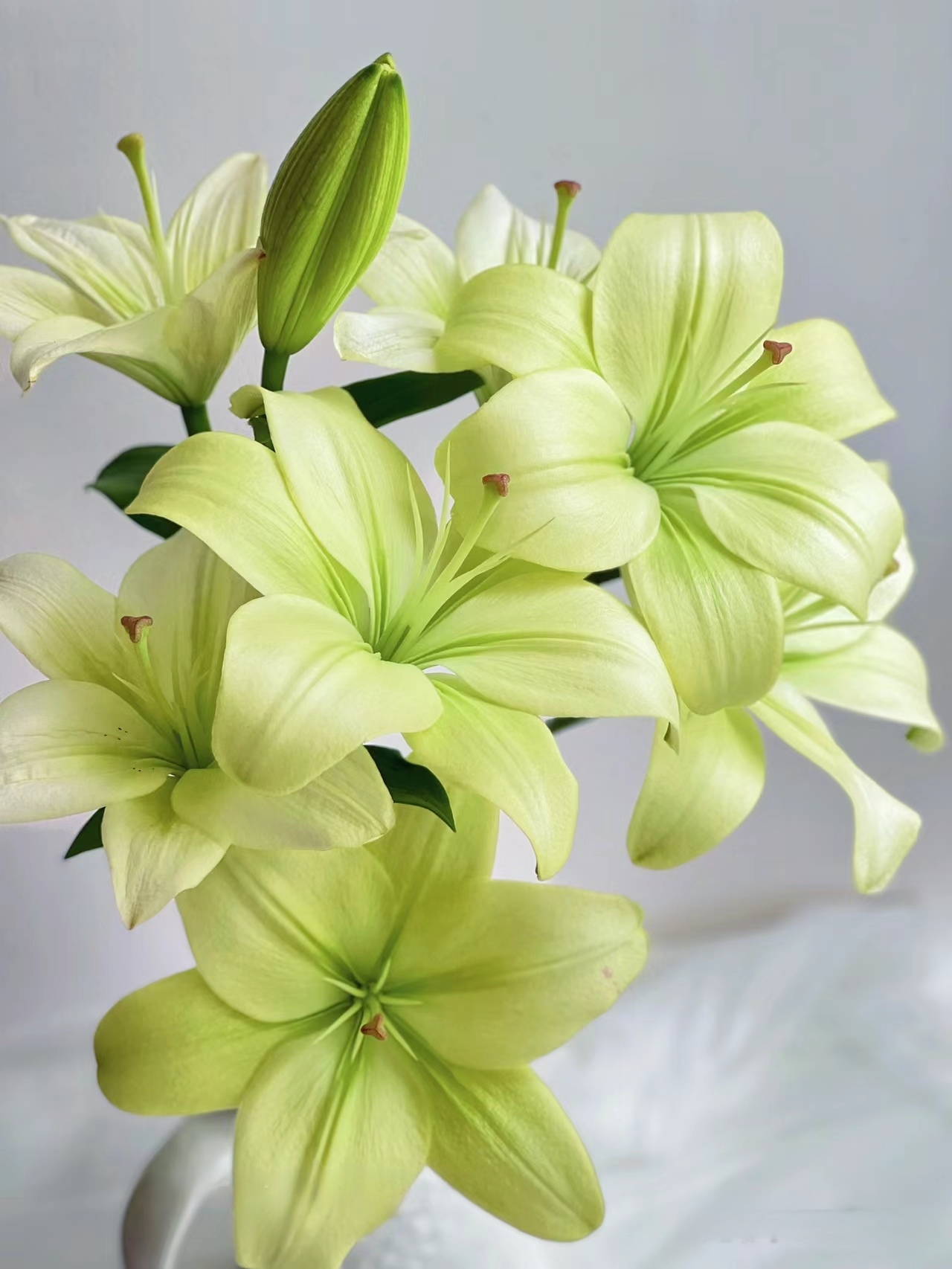 一首花卉（童年）亚百合，云南基地发货。任意两单顺丰