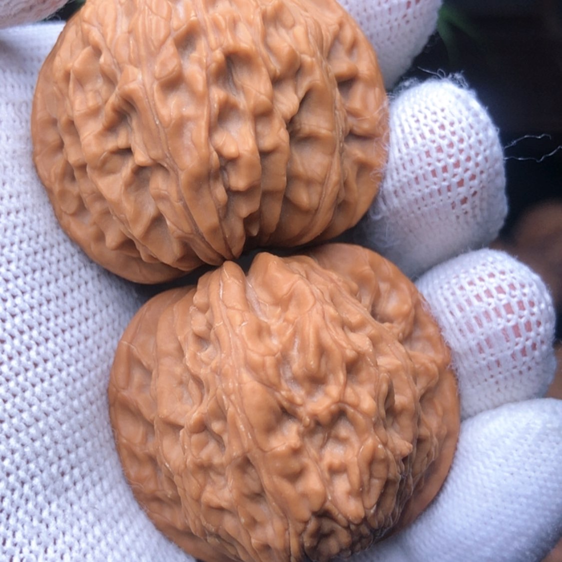 【闪购商品】木质核雕龙*