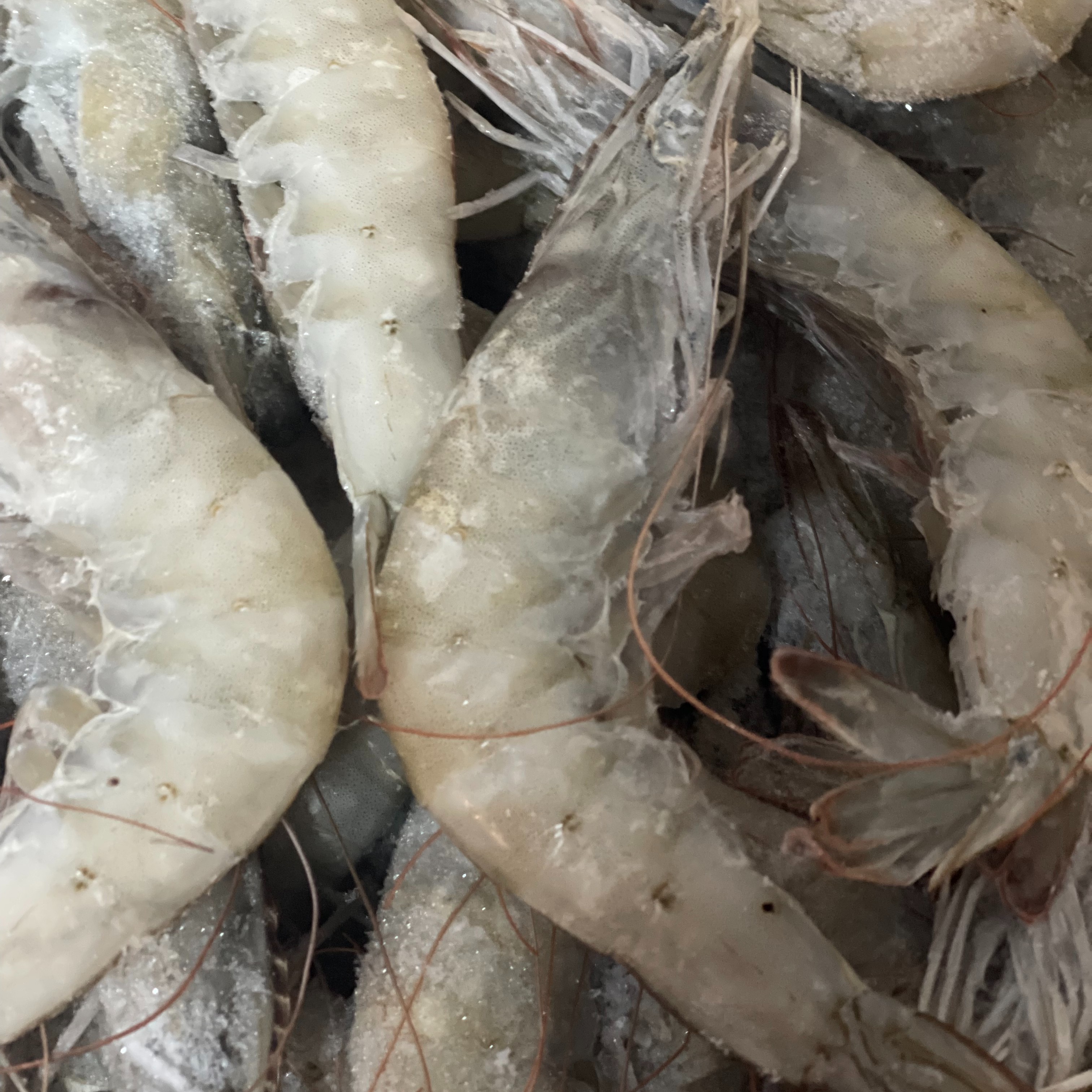 海鲜组合 大海虾 盐冻生鲜虾30-40规格3.3斤净重整盒装口感劲道