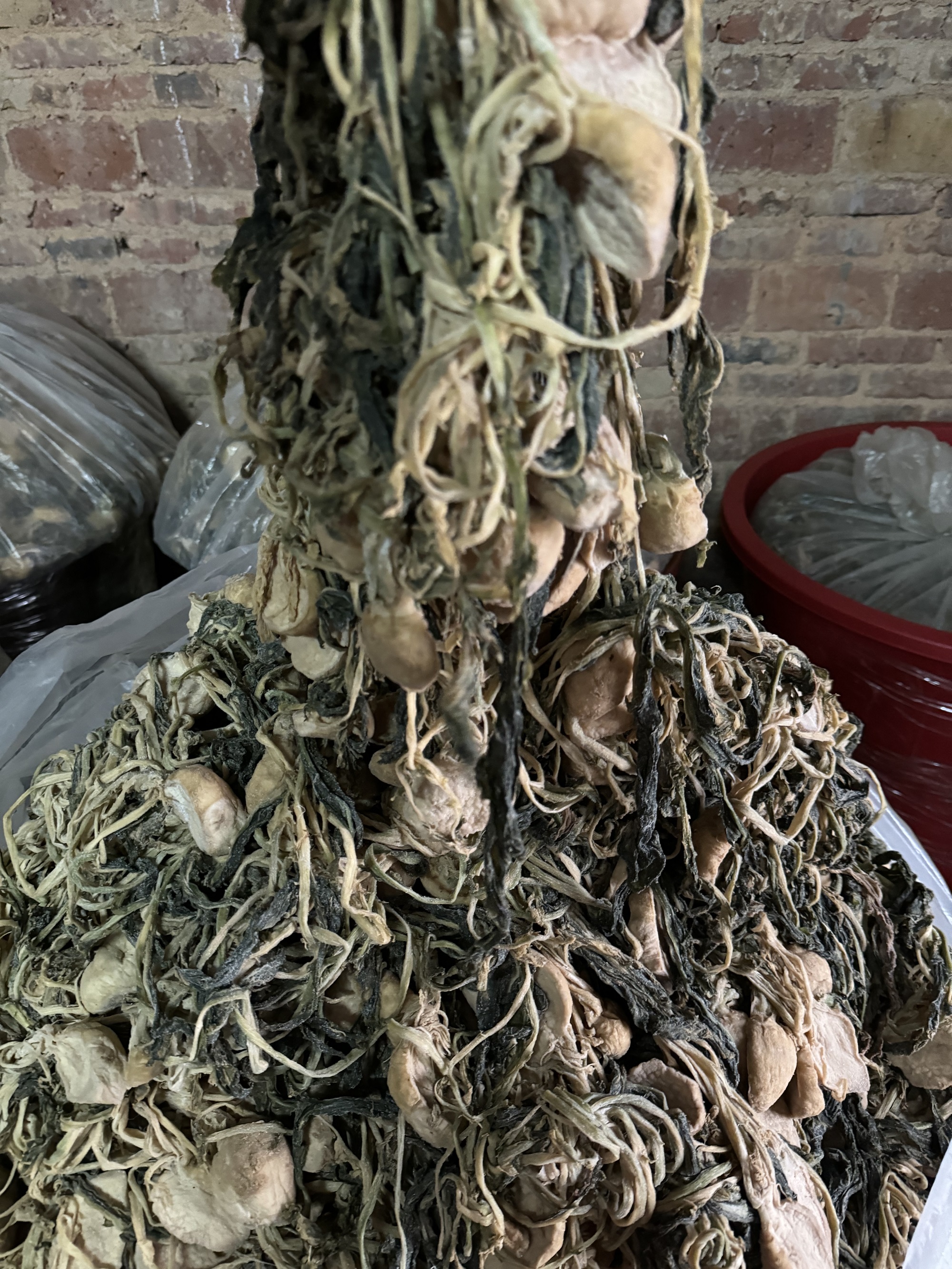 2025年新鲜信宜大成新鲜农家手工大头菜干（5-6成干）咸菜下饭