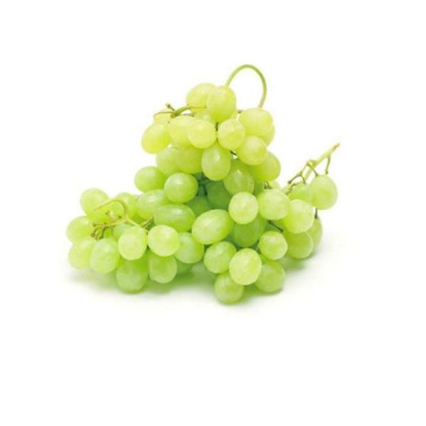阳光玫瑰青提6斤