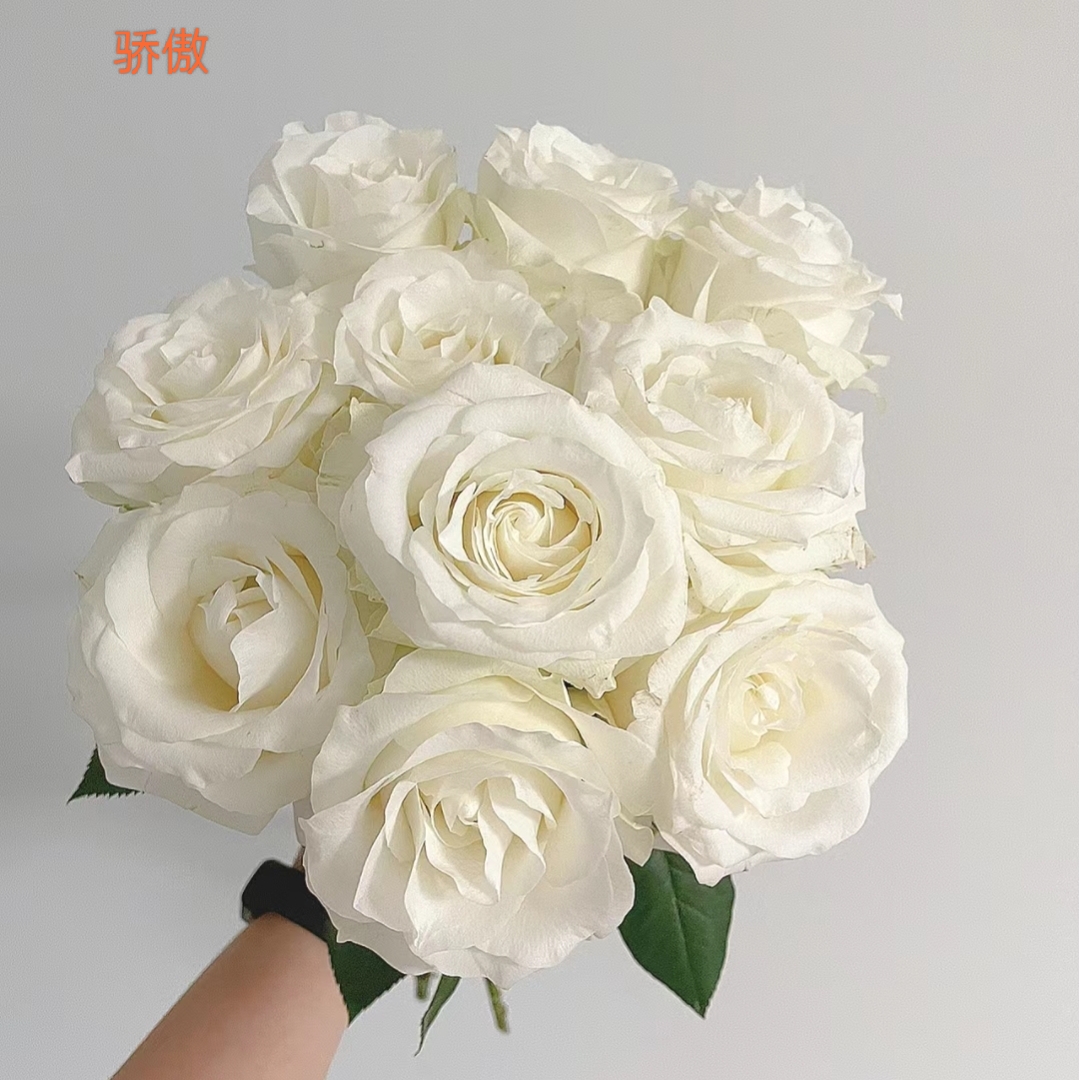 【单头玫瑰】骄傲20支+热点10支（农户花，有夹枝，20%耗损不售后）