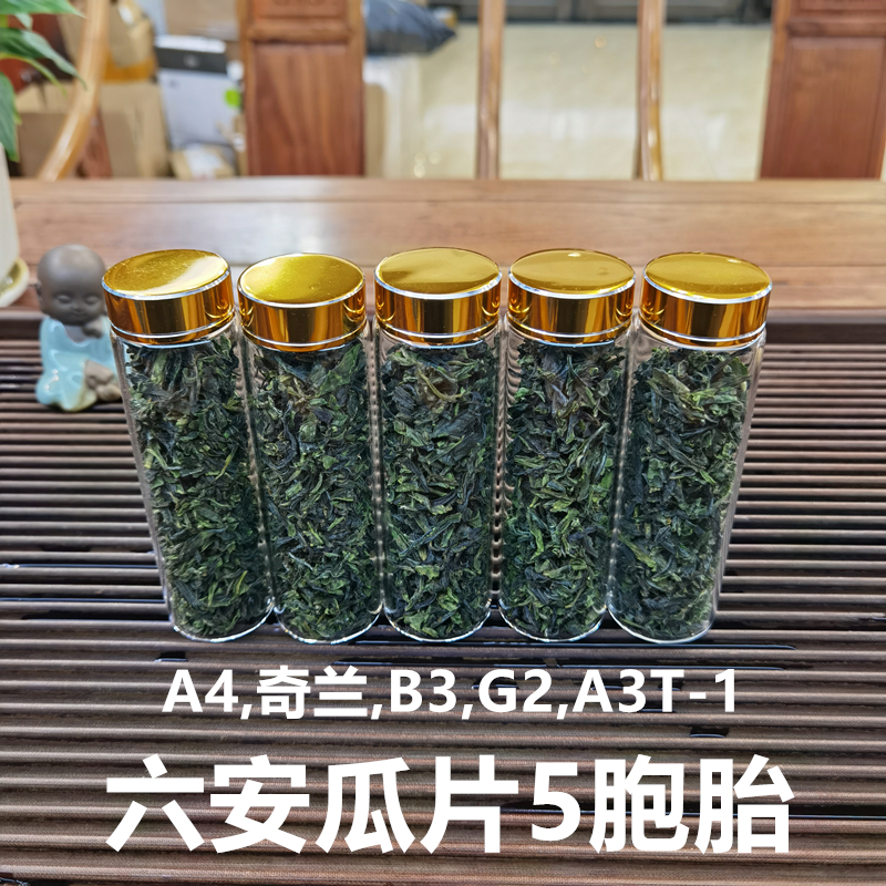 A4,奇兰,B3,G2,A3T-1五款六安瓜片合集