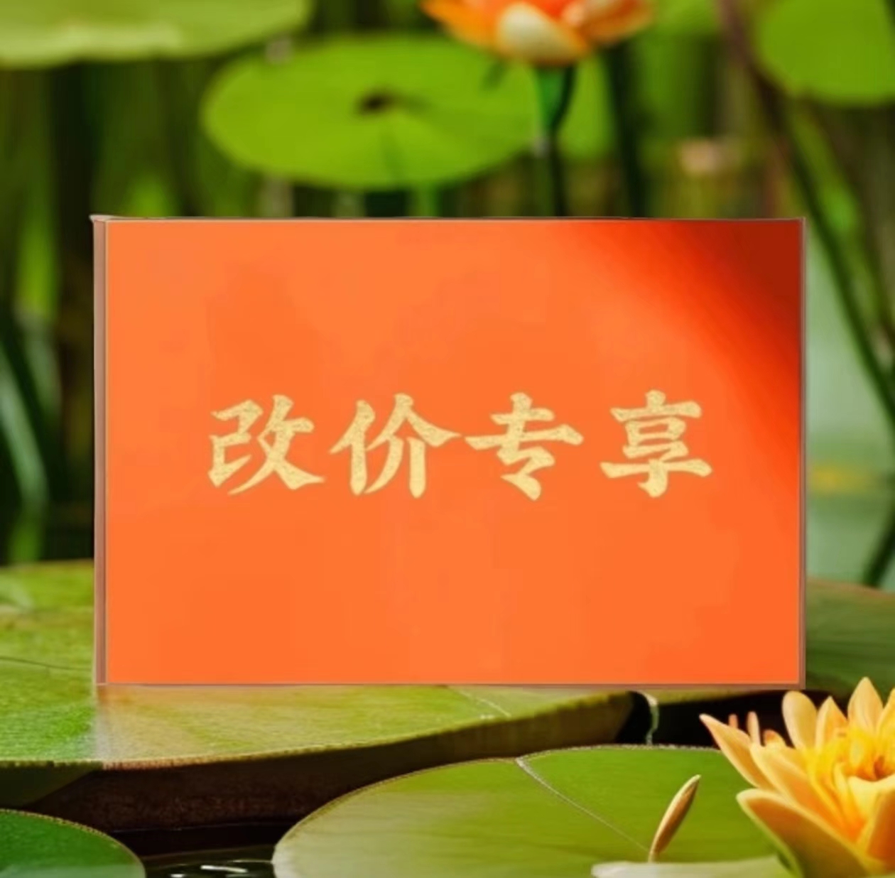 【交个朋友】百年老枞 武夷岩茶 JX339