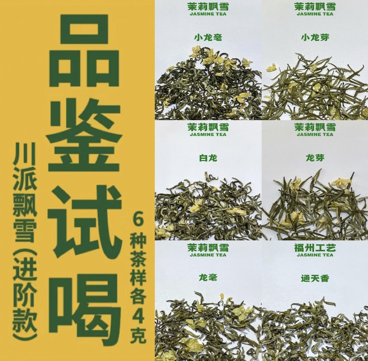 川派飘雪进阶款试喝品鉴装2025新茉莉花茶6种高等级川派飘雪