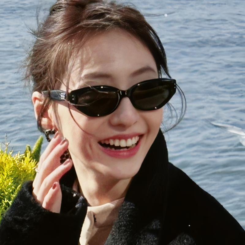森蓝家复古窄框猫眼小框墨镜女高级感2023新款防晒街拍防紫外线