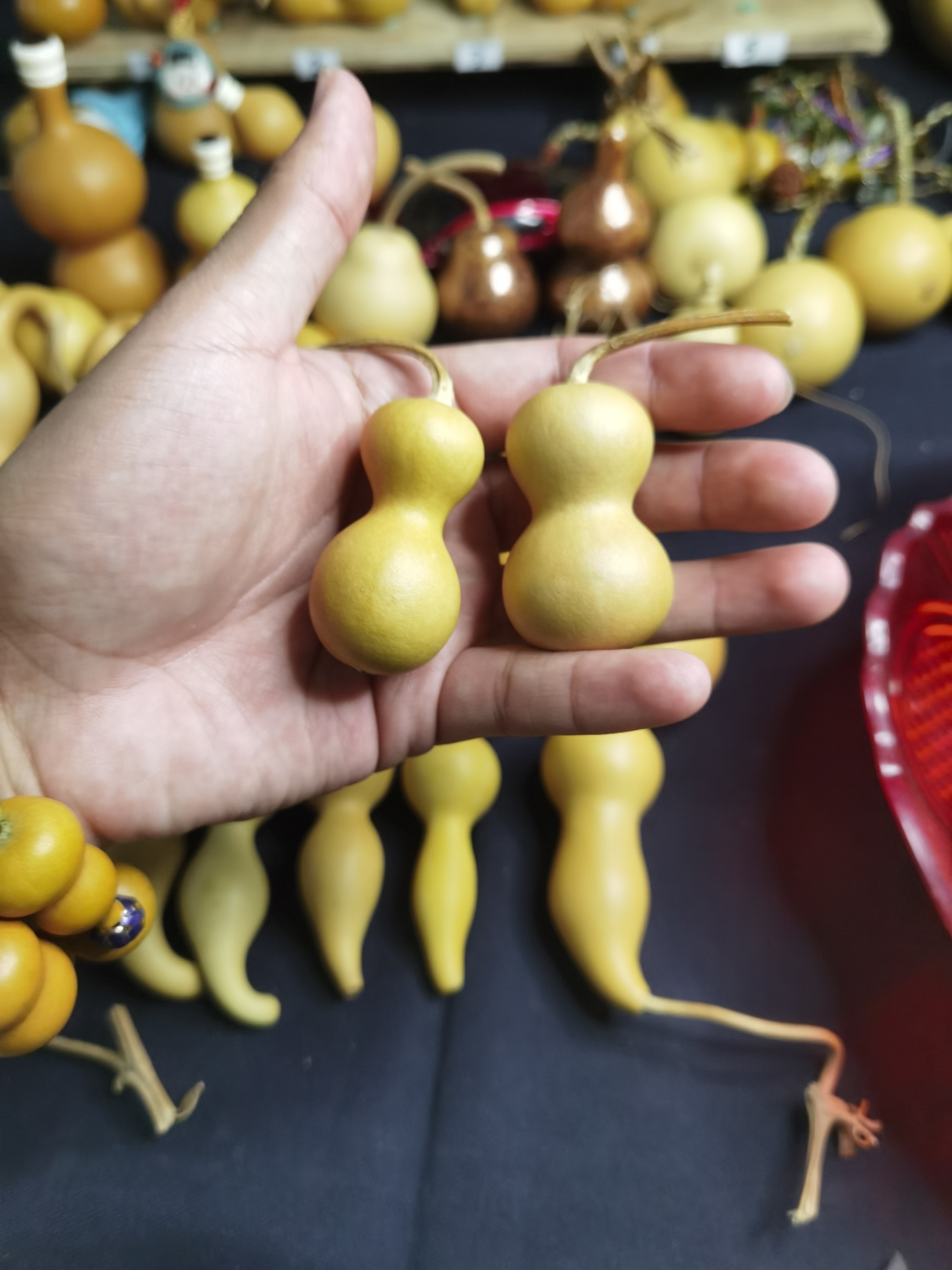 直播链接专属链接葫芦