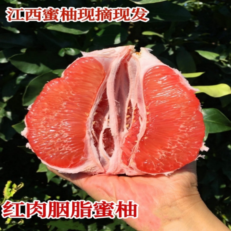 【江西黎川胭脂柚礼盒装大果】新鲜正宗香甜多汁柚子红心蜜柚红柚