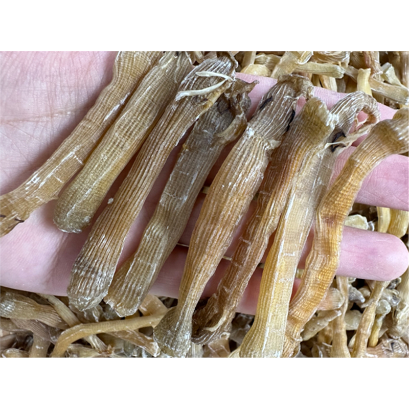【三妹专线】大号沙虫干 无沙 沙虫50克 250克 500克