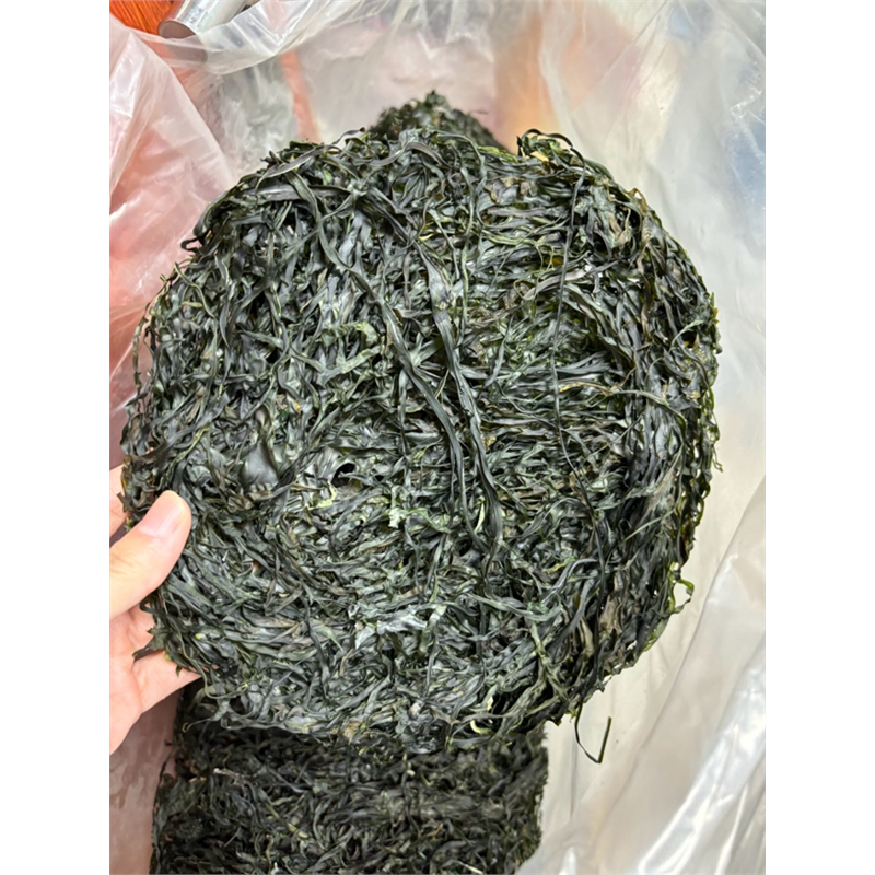 烘干海带干货海带丝圆饼凉拌炒辣椒炒肉煮汤