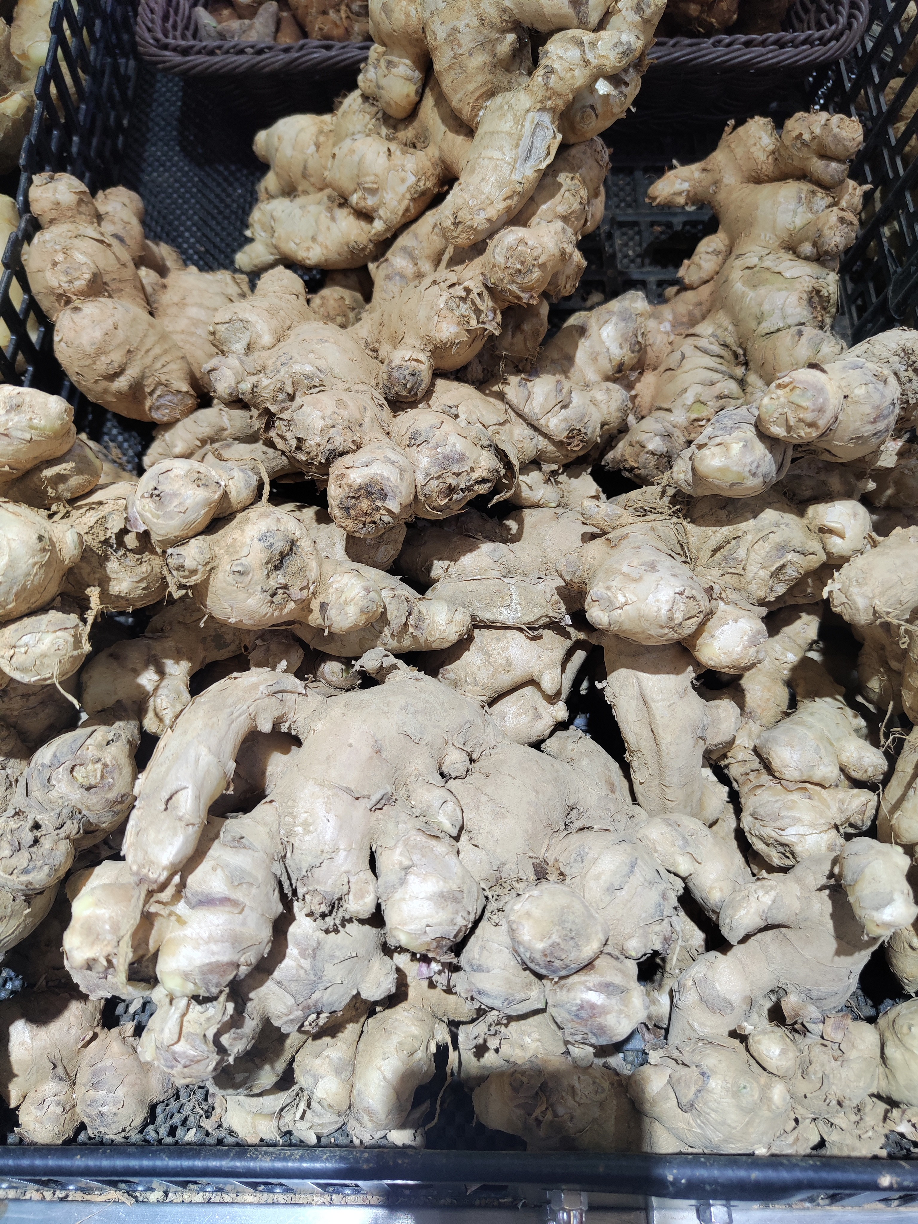 【幸福柿集】嫩姜(500g)