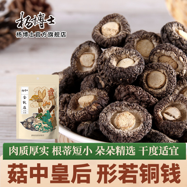 金钱菇