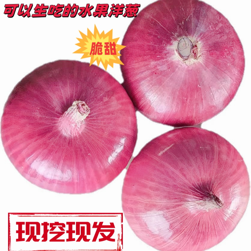 2024新鲜现挖山东扁洋葱水果洋葱二红扁洋葱脆甜微辣可生吃5斤装
