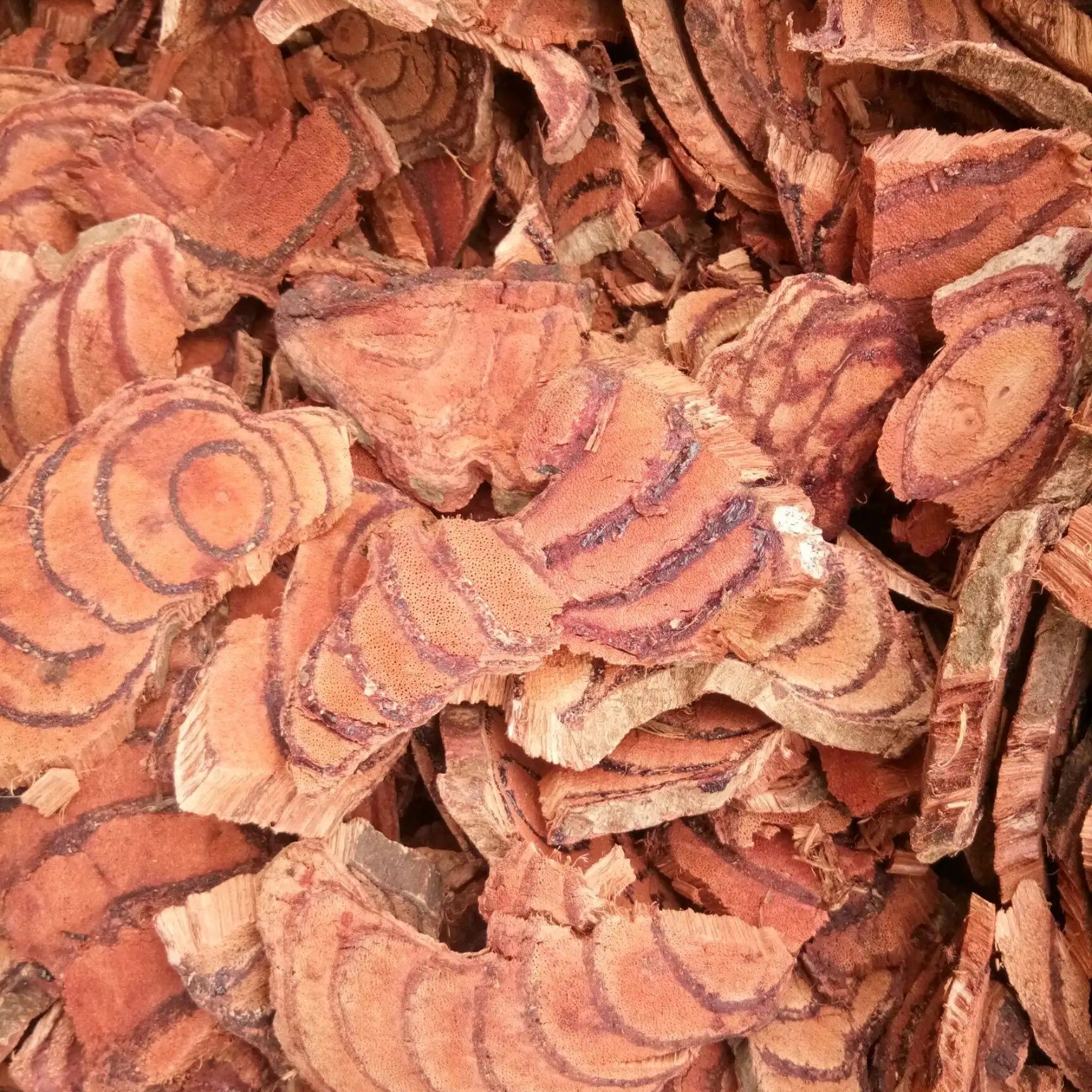 云南深山鸡血藤500克包邮