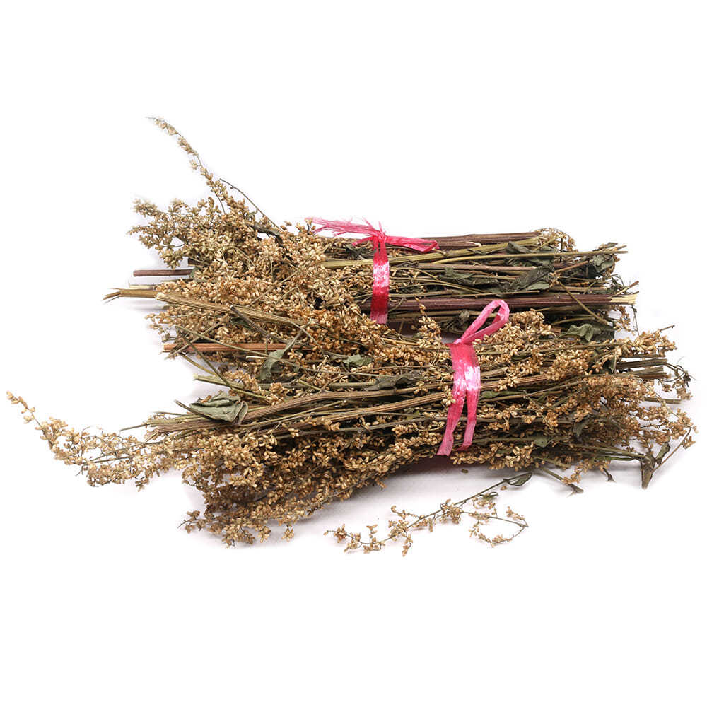 六月霜六月雪刘寄奴奇蒿夏天的凉茶紫苏