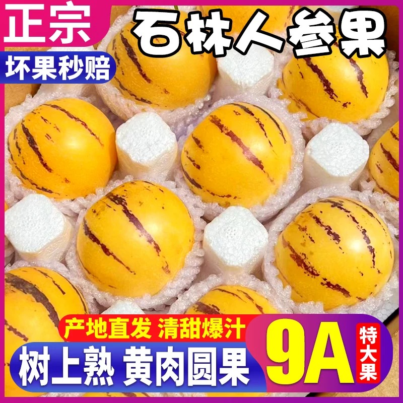 【正宗】云南石林人参果树熟黄心清甜多汁新鲜水果果园现摘现发包邮