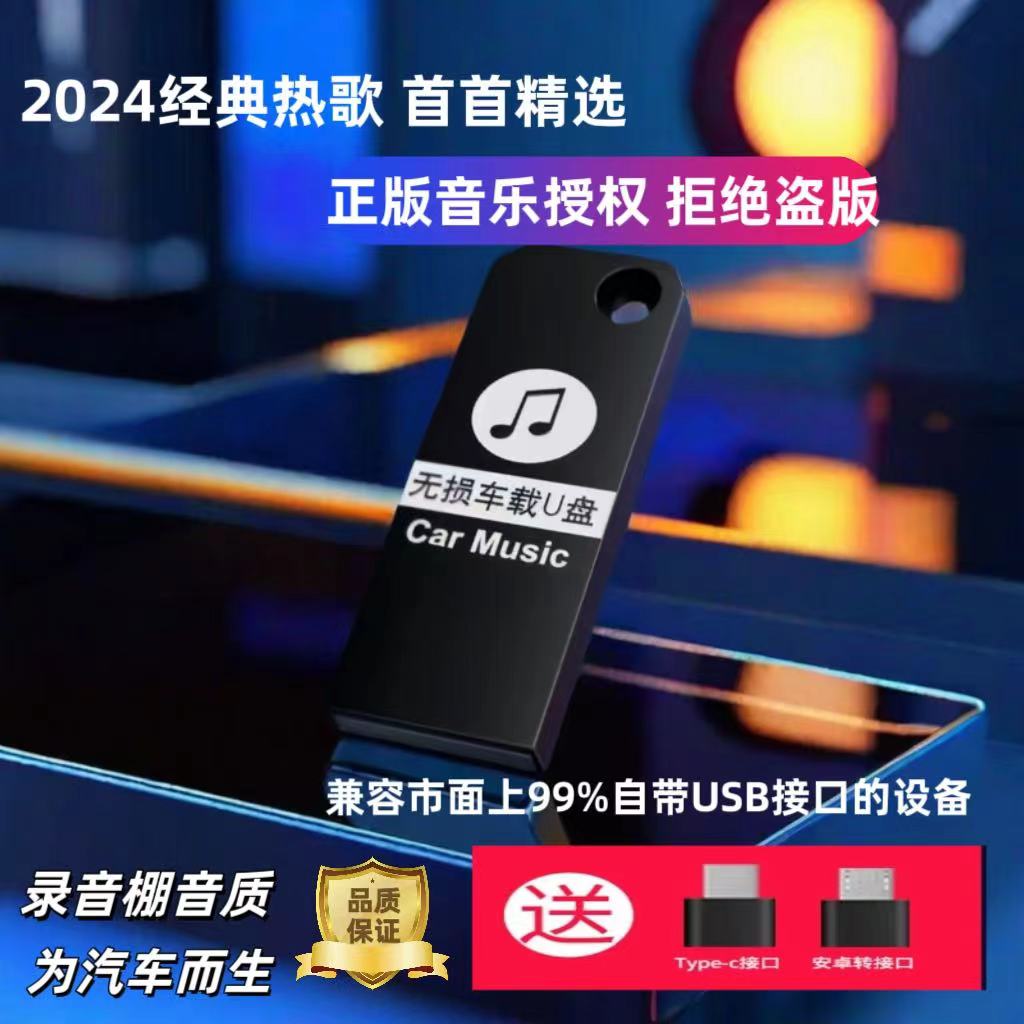 野粉专享【2024款通用盘】不限车型 创意盘 即插即用 高品质喇叭