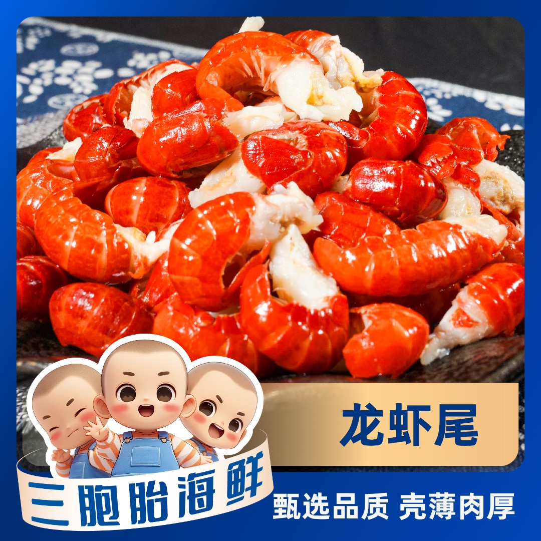 【海鲜日记】新鲜龙虾尾 肉质紧实 含保护冰 500g*五包160-180粒/斤