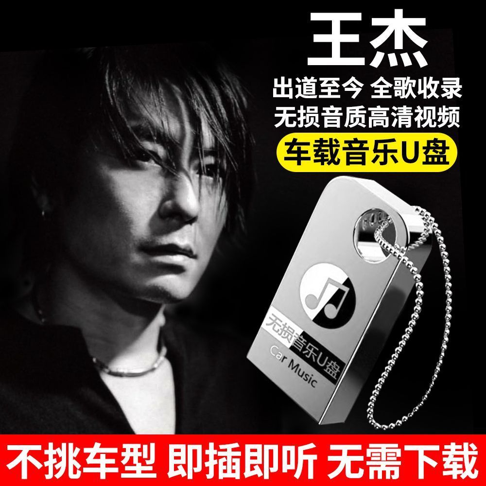 王杰专辑汽车车载u盘经典流行怀旧歌曲无损高音质车用音乐优盘mp3