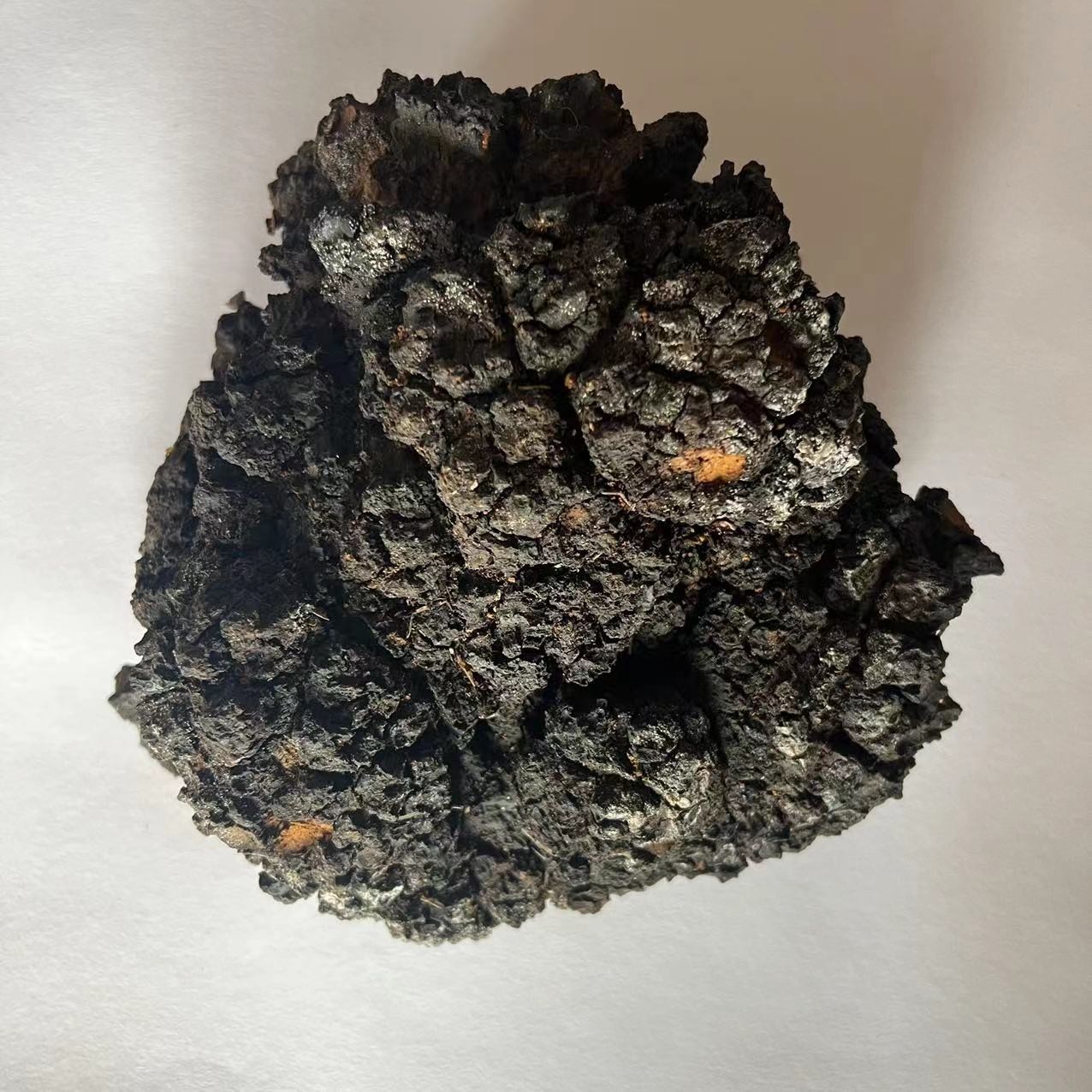 山货，长白山桦褐孔菌250克 桦树茸 一袋