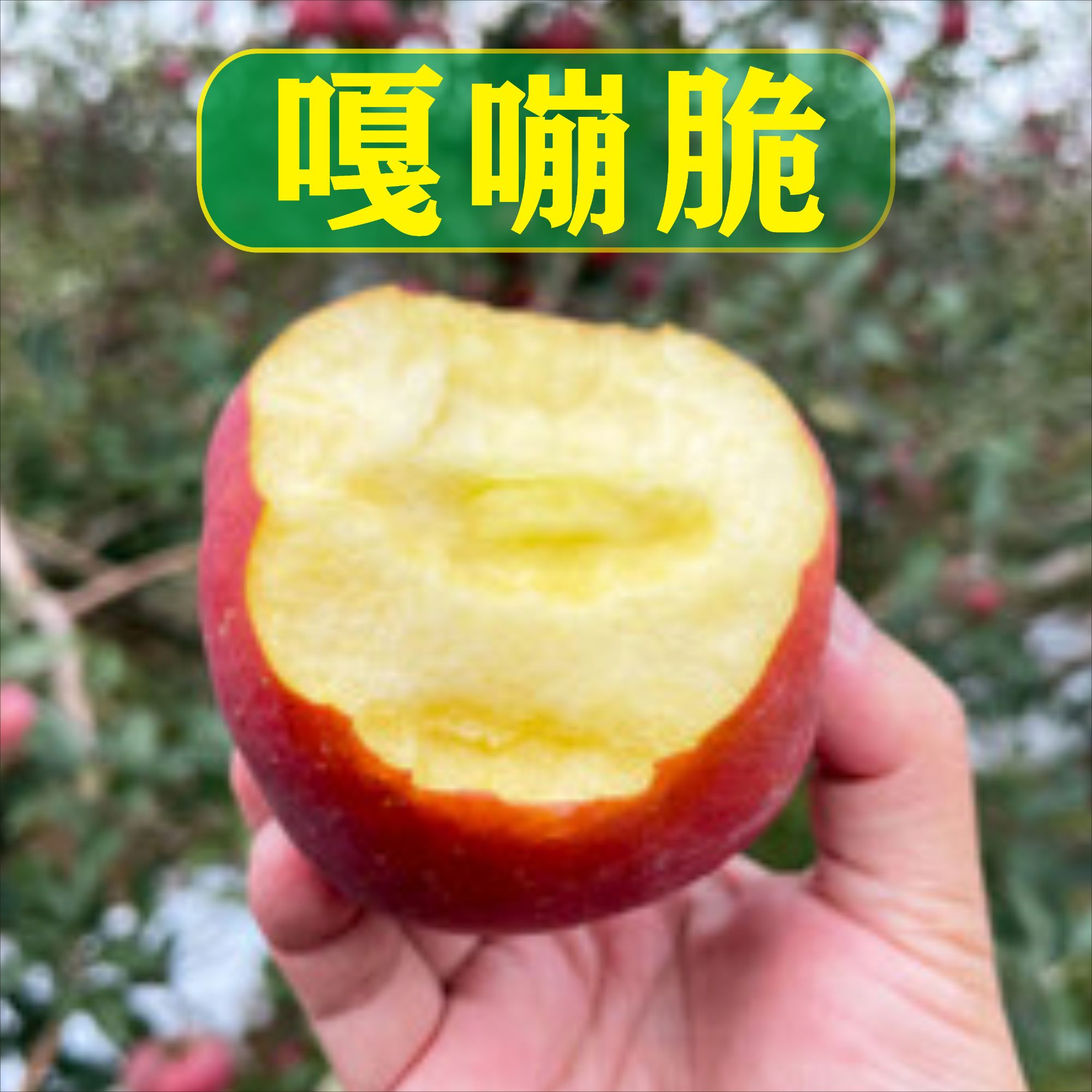 云南昭通糖心丑苹果现摘现发