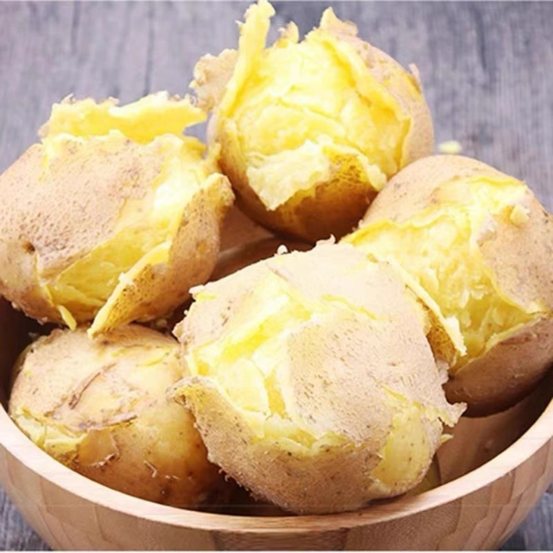 2024现挖新鲜甘肃黄皮黄心土豆粉面洋芋马铃薯