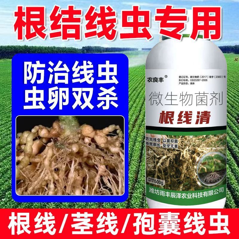 进口根结线虫专用药淡紫紫孢菌清根结根瘤根线地下微生物菌剂