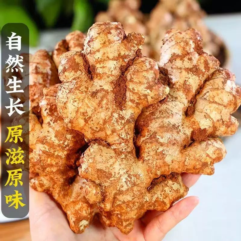 （甜甜果蔬）云南二黄姜新鲜老姜母现挖老姜头带泥发预售