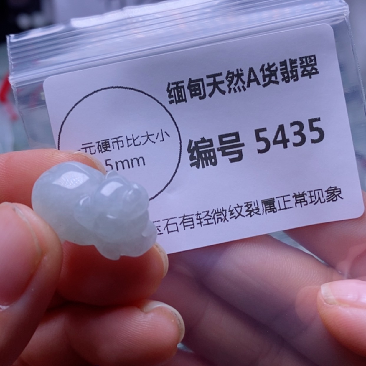 【闪购商品】翡翠颈饰未镶嵌