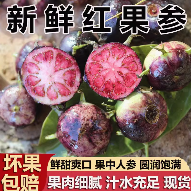 特价1000件正宗云南红果参新鲜早熟紫果当季送礼水果蜘蛛果批发