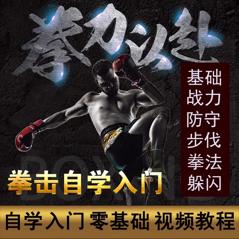 全套拳击指导视频教程氧运动教程零基础入门实战技巧教学基本拳法