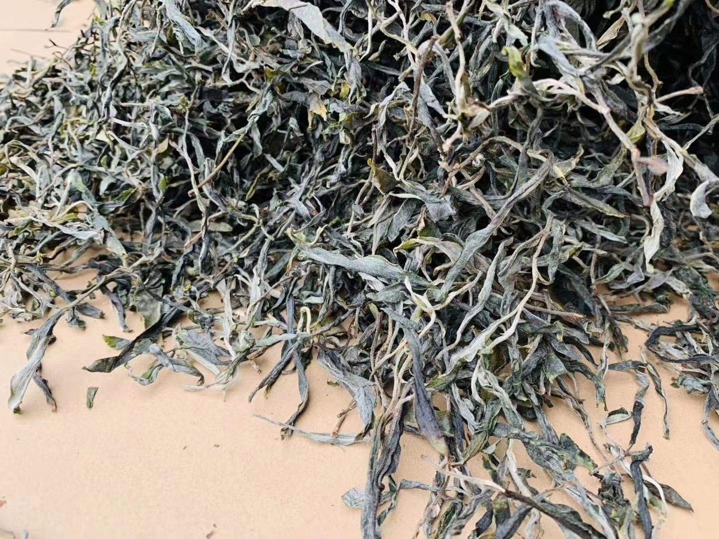 2025年地界生茶古树（50）g